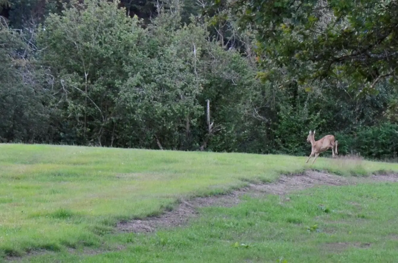 Cottage for 4 people in Malmedy Le Chalet du Tchession